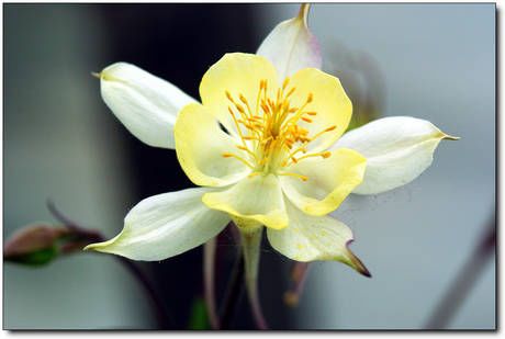 ����ũ��� ����