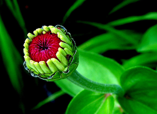 ����ũ��� ����