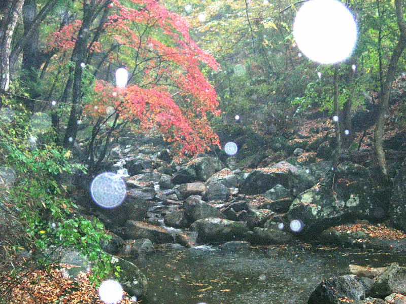 ����ũ��� ����