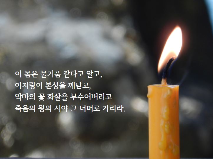 ����ũ��� ����