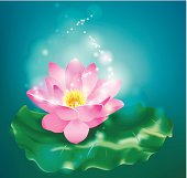 ����ũ��� ����