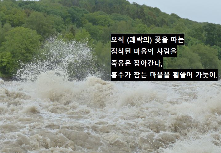 ����ũ��� ����