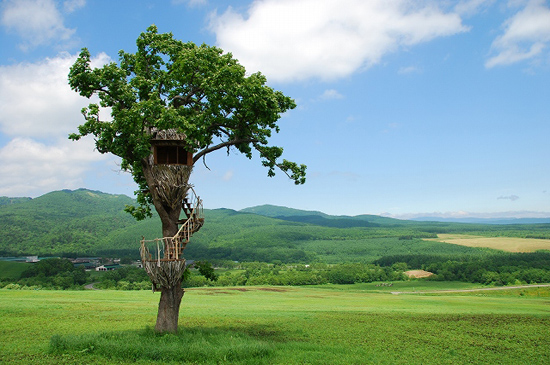 ����ũ��� ����