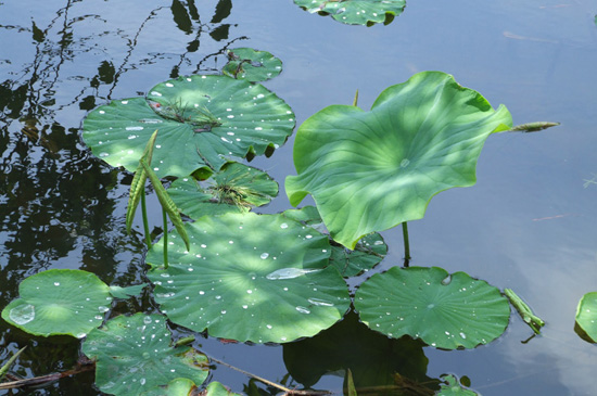 ����ũ��� ����