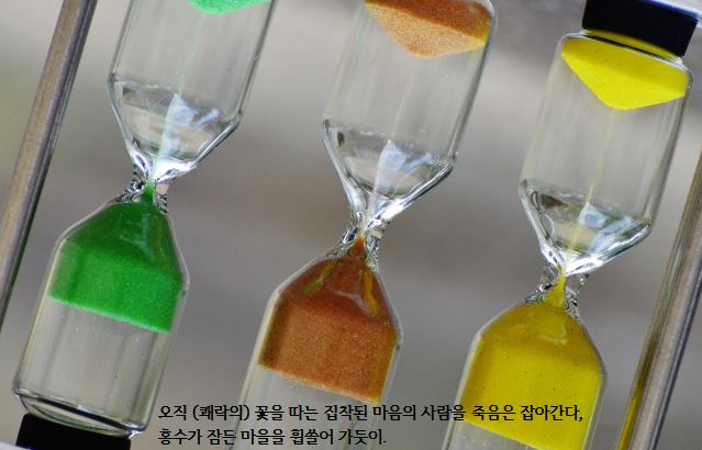 ����ũ��� ����