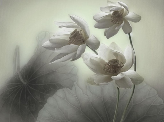 ����ũ��� ����