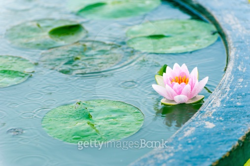 ����ũ��� ����