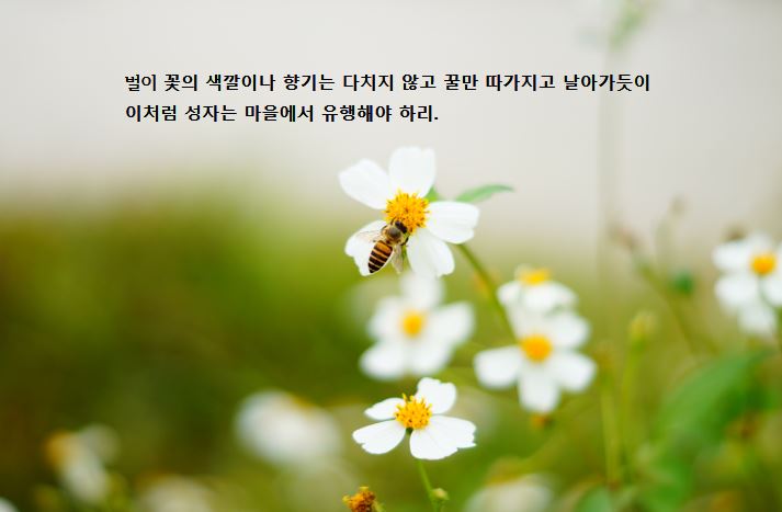 ����ũ��� ����