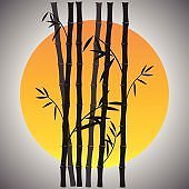 ����ũ��� ����