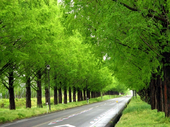 ����ũ��� ����