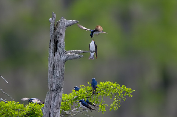 ����ũ��� ����