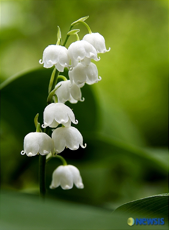 ����ũ��� ����