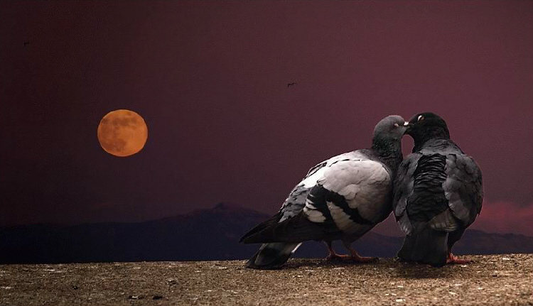 ����ũ��� ����