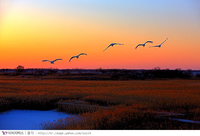 ����ũ��� ����