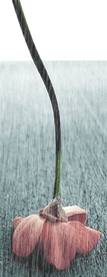 ����ũ��� ����