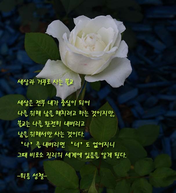 ����ũ��� ����