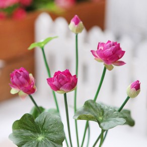 ����ũ��� ����