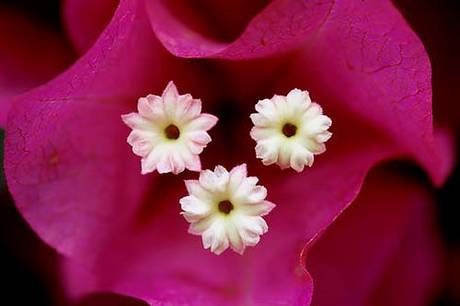 ����ũ��� ����