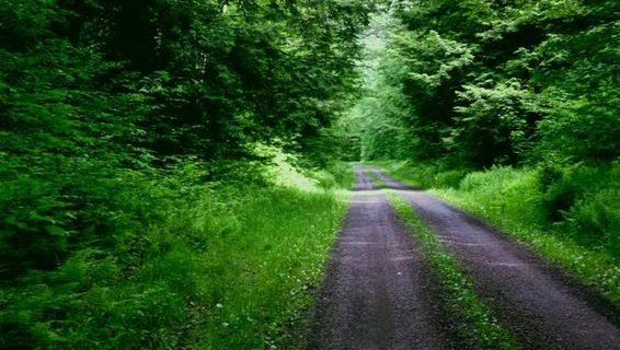 ����ũ��� ����