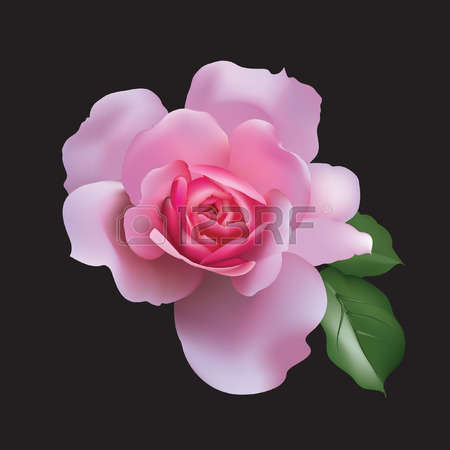 ����ũ��� ����