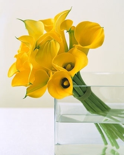 ����ũ��� ����