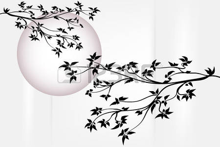 ����ũ��� ����