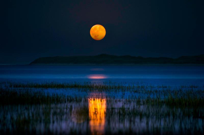 ����ũ��� ����