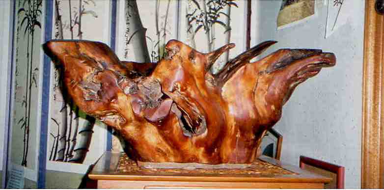 ����ũ��� ����