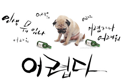 ����ũ��� ����