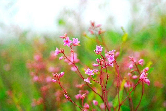 ����ũ��� ����