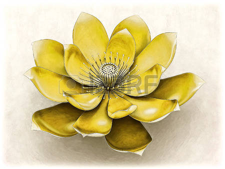 ����ũ��� ����