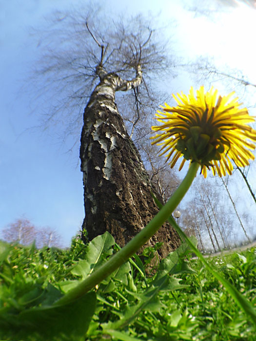 ����ũ��� ����