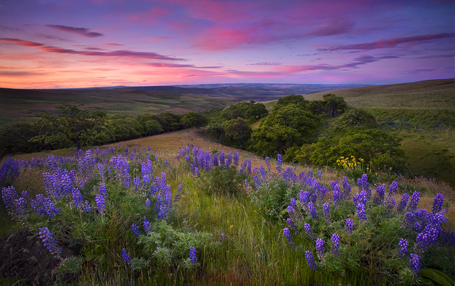 ����ũ��� ����