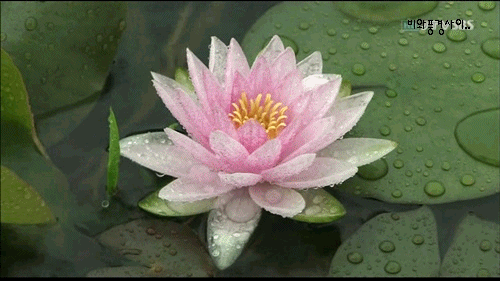 ����ũ��� ����