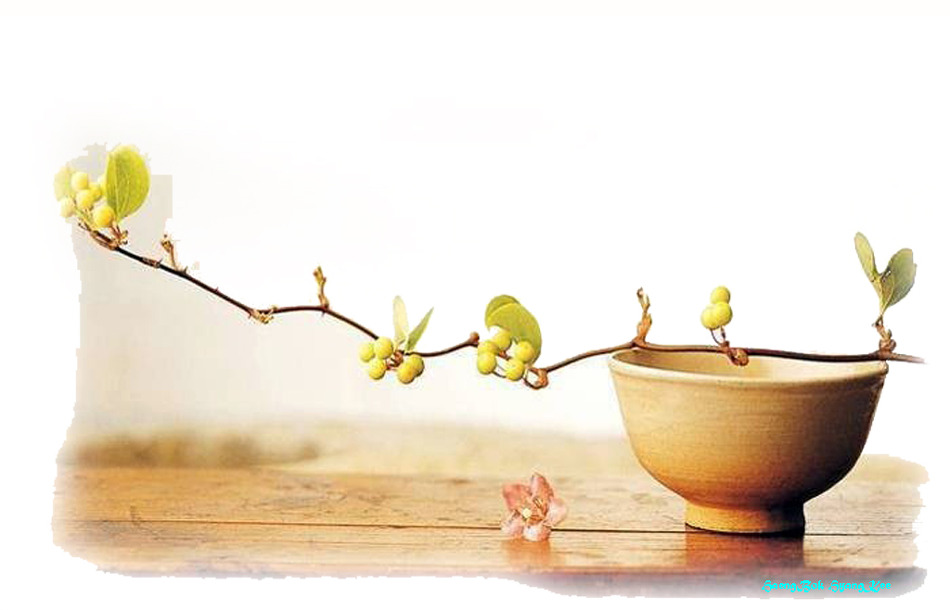 ����ũ��� ����