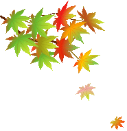 ����ũ��� ����