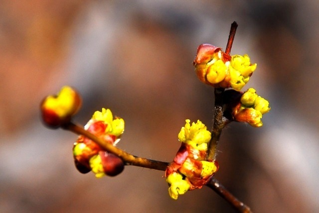 ����ũ��� ����