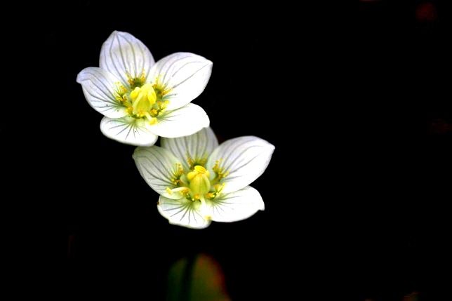 ����ũ��� ����