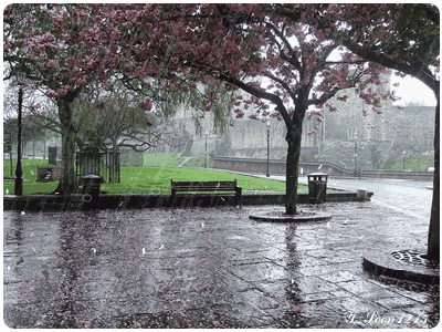 ����ũ��� ����