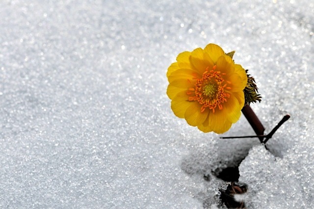 ����ũ��� ����