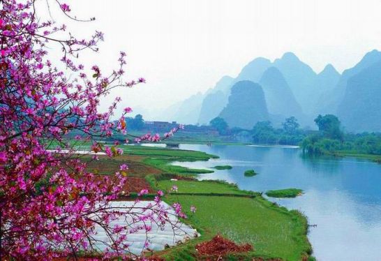 ����ũ��� ����