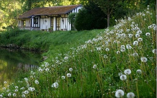 ����ũ��� ����