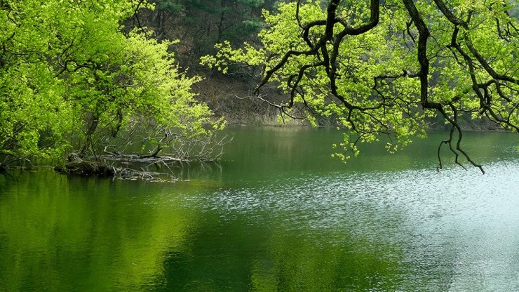 ����ũ��� ����