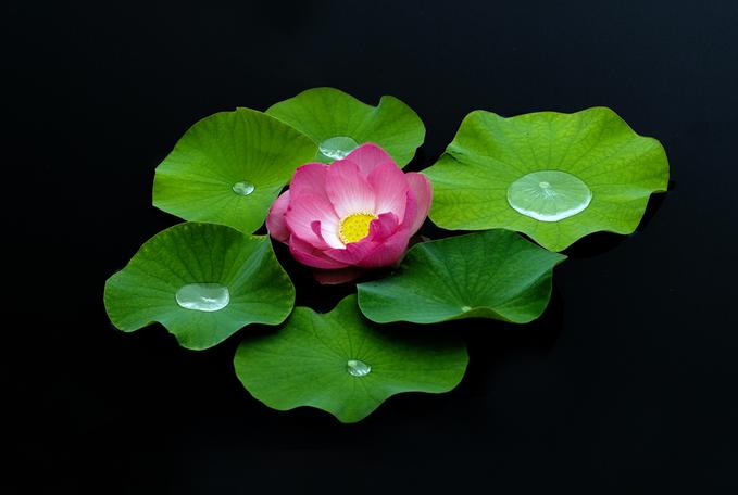 ����ũ��� ����