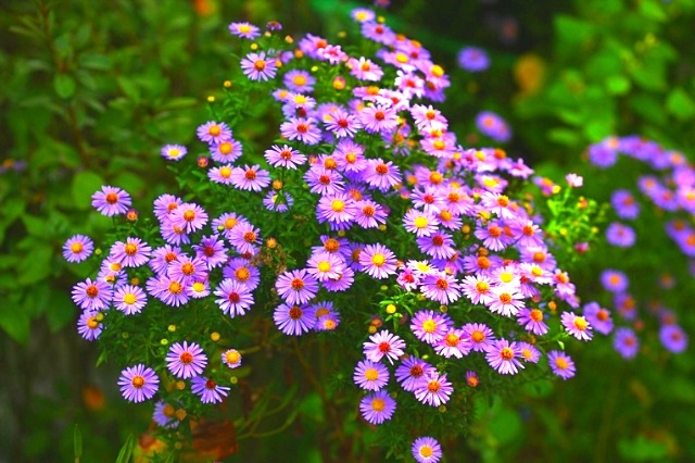 ����ũ��� ����