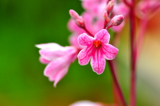 ����ũ��� ����