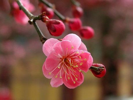 ����ũ��� ����