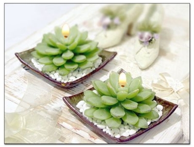 ����ũ��� ����