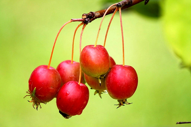 ����ũ��� ����