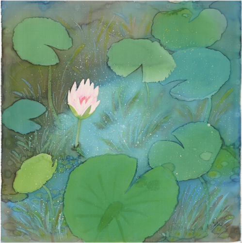 ����ũ��� ����